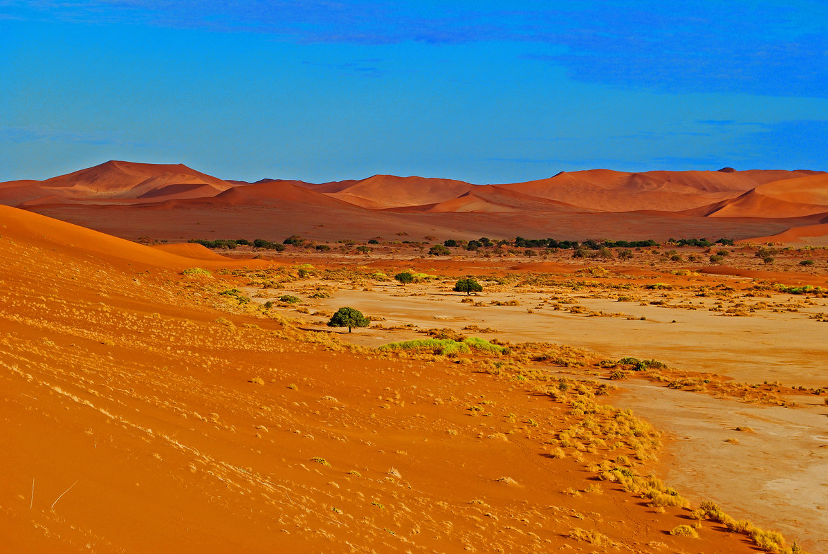 Африка,Намибиа,Пустыня Намиб - Jakob Gardok
