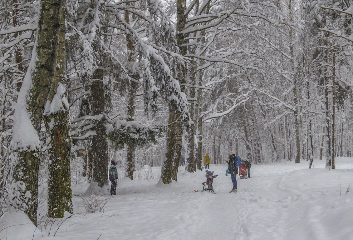 Прогулка под снегопадом - Сергей Цветков