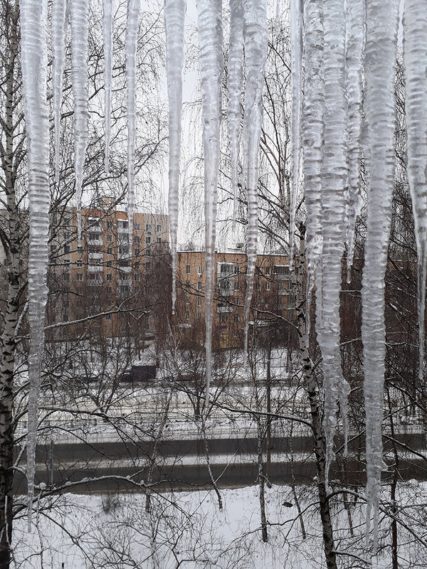 Зима - Михаил Розенберг