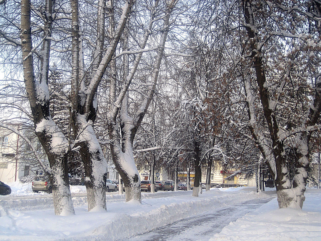 Зимой в городе - Елена Семигина