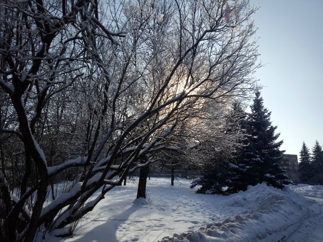 Зима в городе - BoxerMak Mak