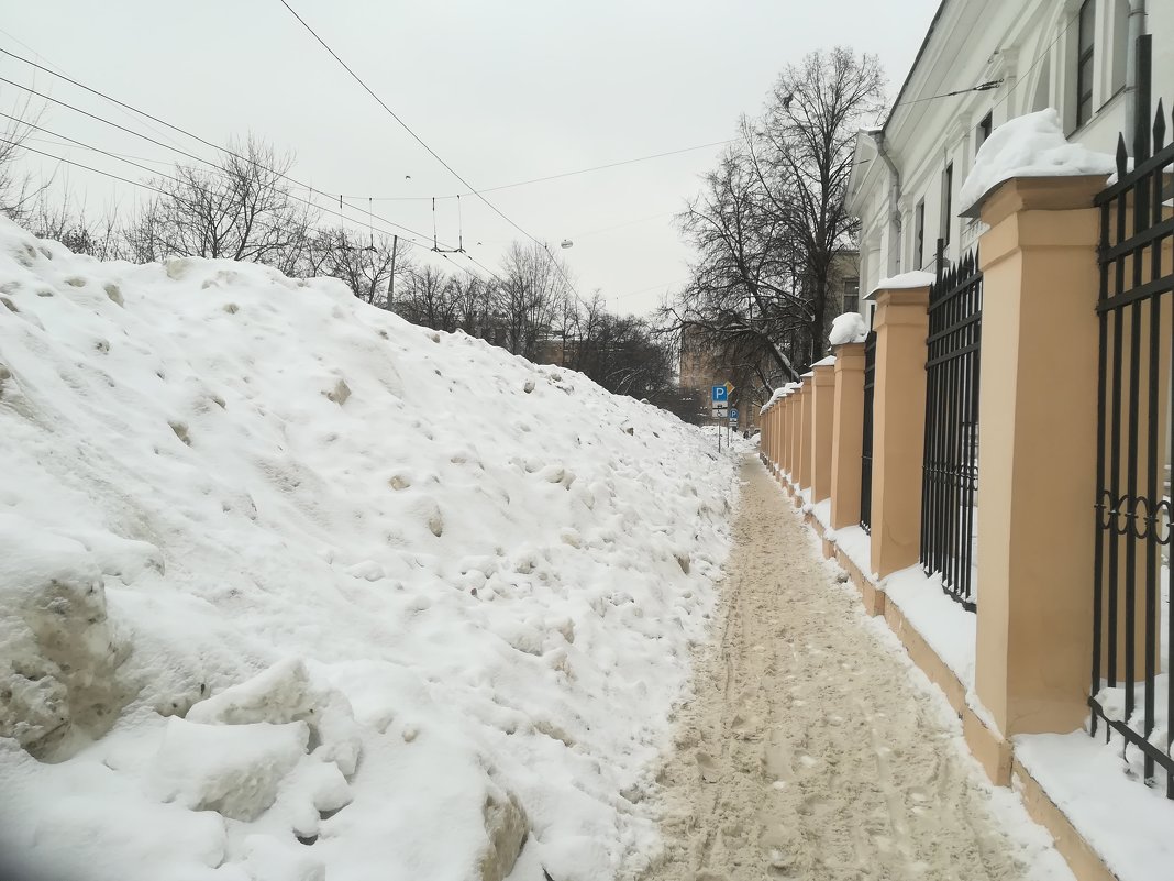 Эту зиму Москва запомнит надолго - Владимир Прокофьев