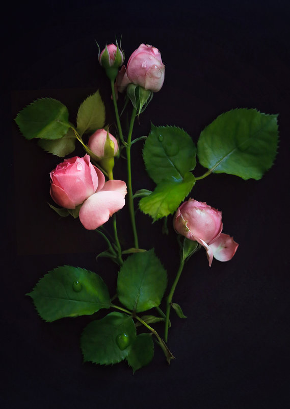 Влюбленная в цветы - Екатерина Постонен