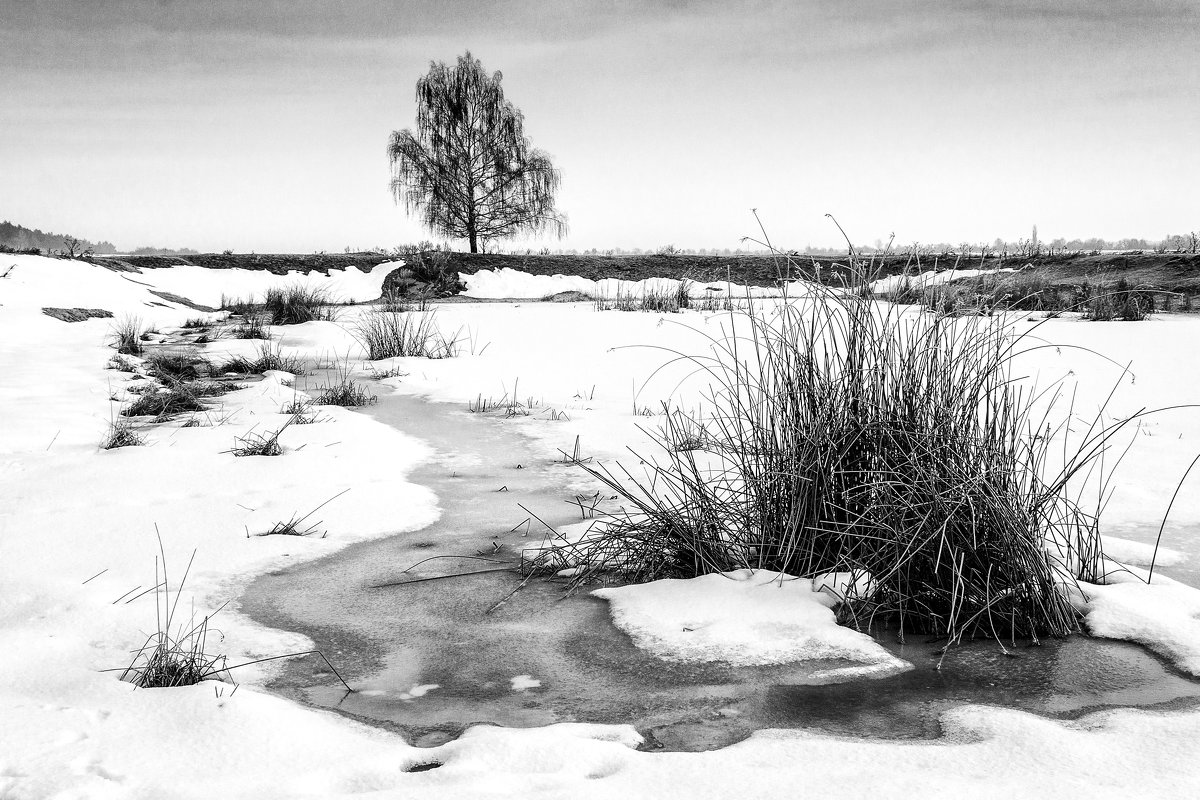 Зимний пейзаж... - serg_ grit
