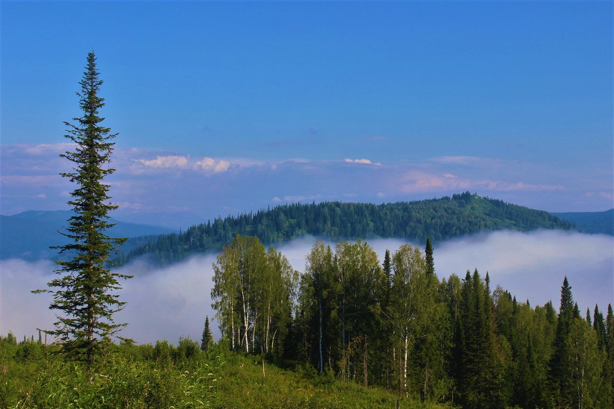 Туман гуляет над долиной - Сергей Чиняев 