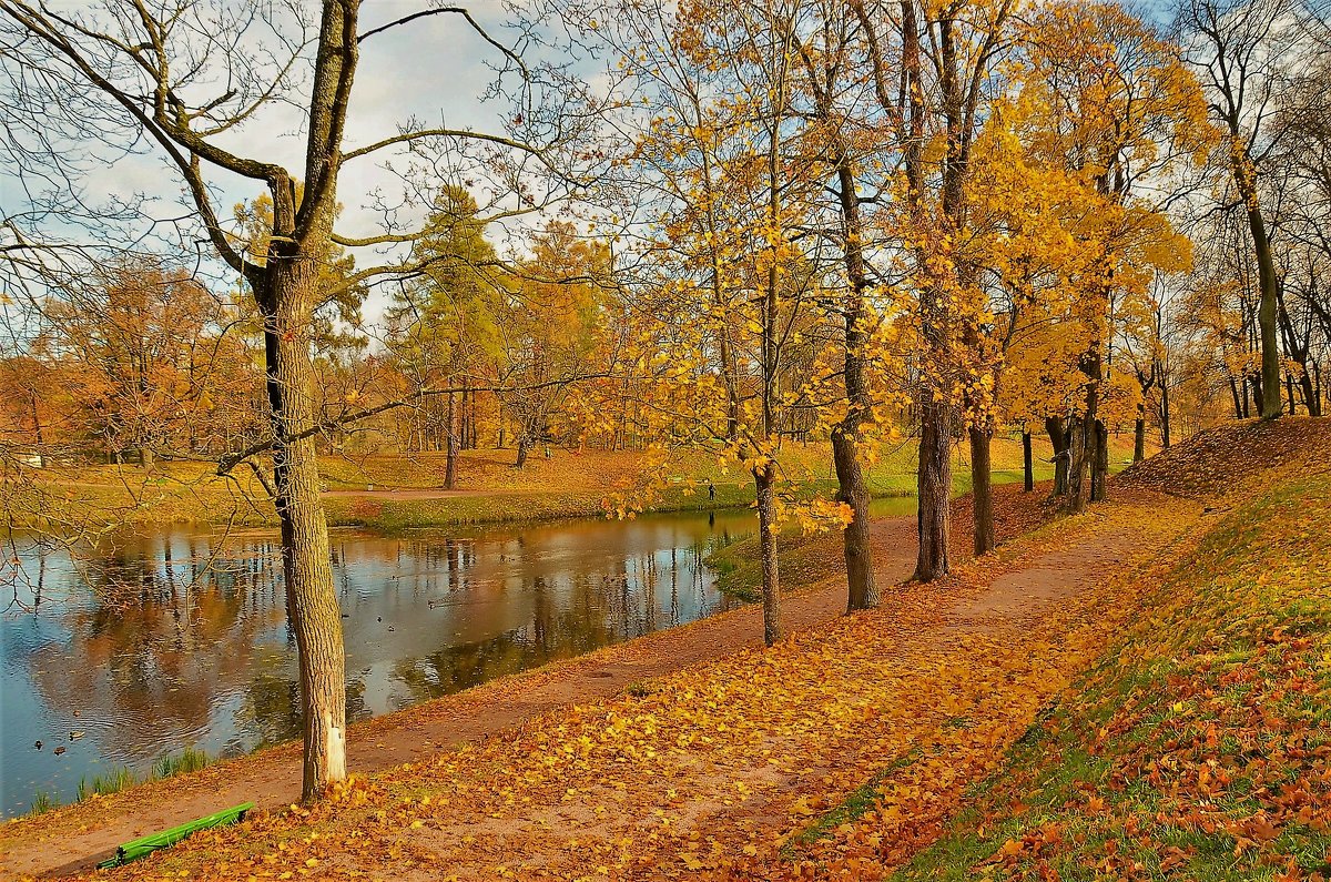 Золотая осень в Гатчине... - Sergey Gordoff