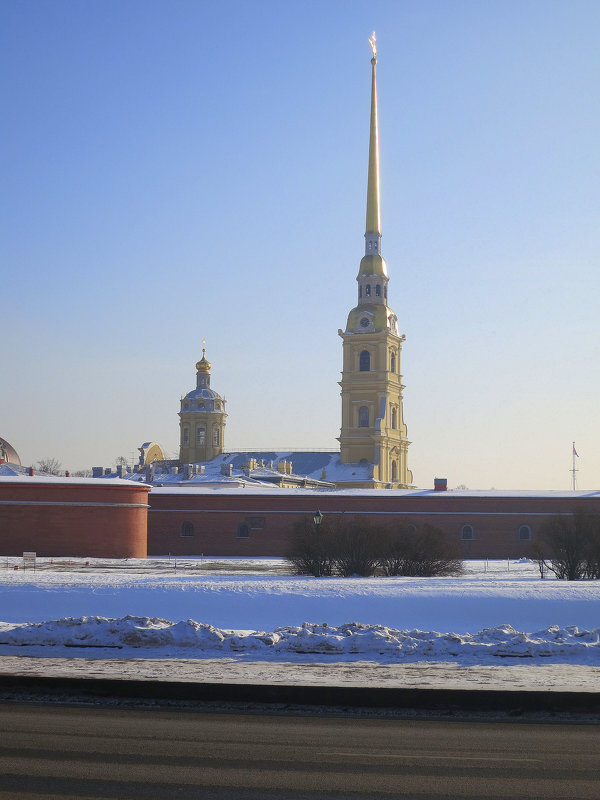 Вид на Петропавловскую крепость. - Валентина Жукова