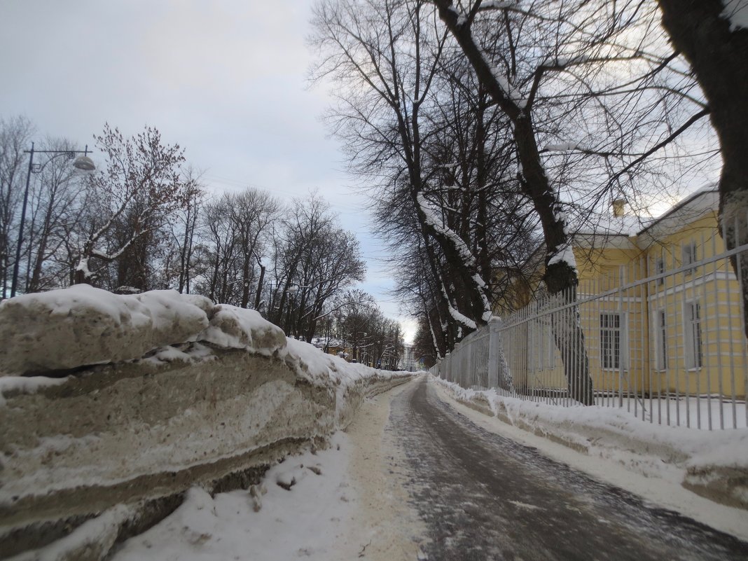 Зимняя улица в Пушкине - Елена 