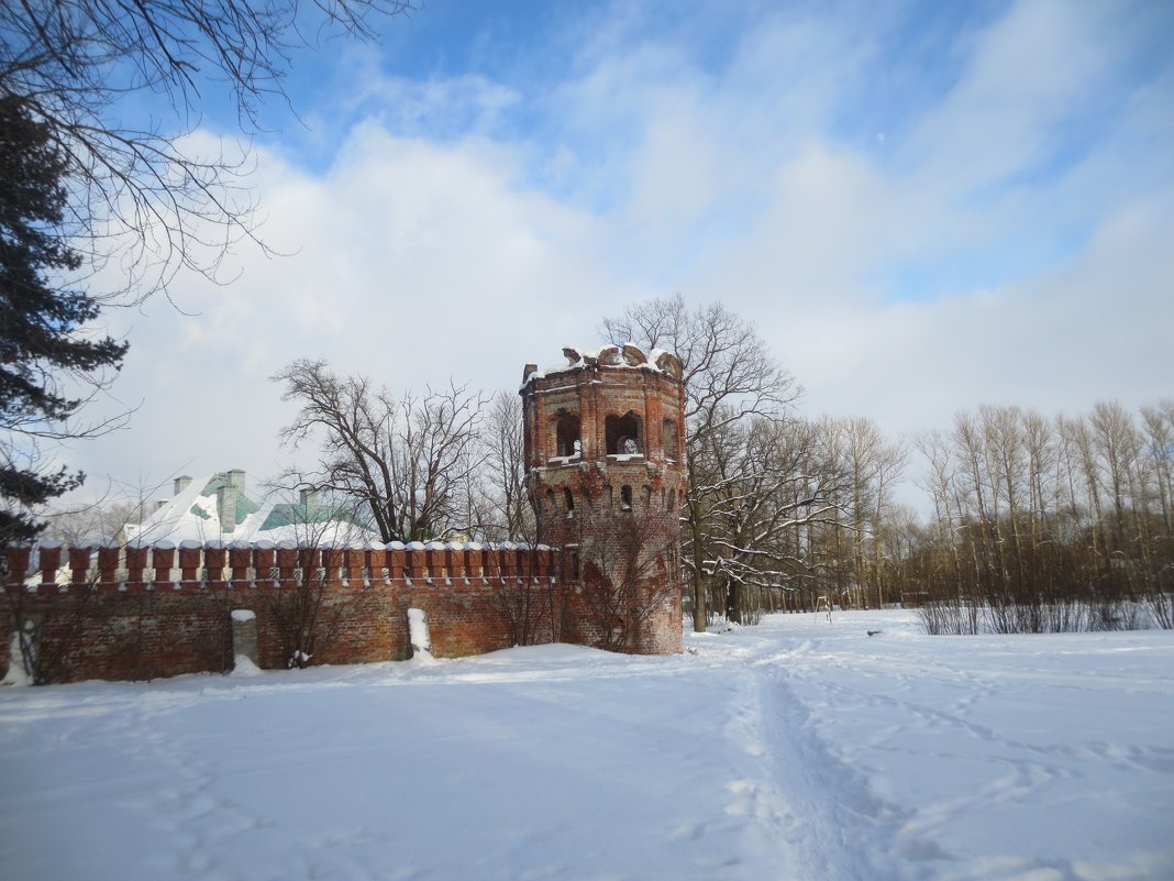 зима в Фёдоровской Городке - Елена 