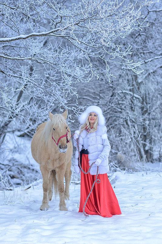 Зимняя прогулка - Виктория Дубровская