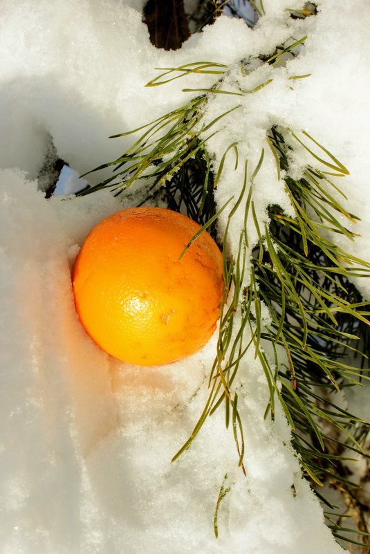 Апельсины на снегу - Сергей Кочнев