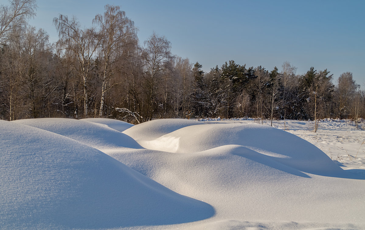 Снежные барханы - Андрей Дворников