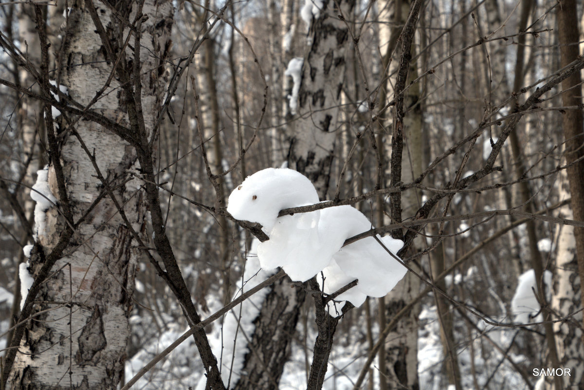 снежные игрушки - Валерий Самородов