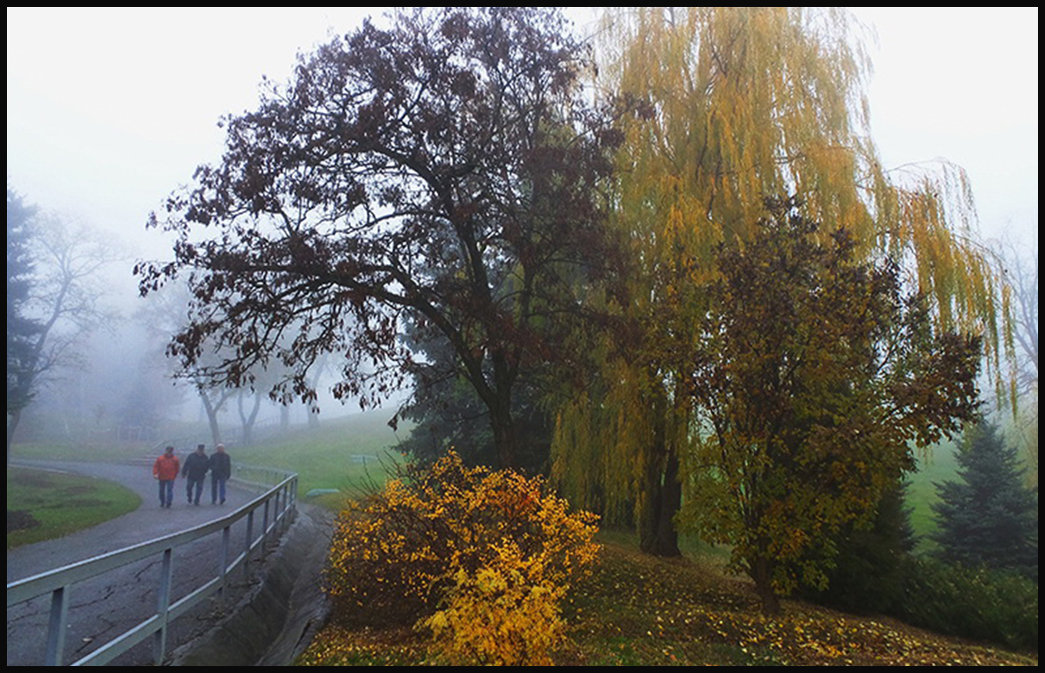 Осенний Курган Фото
