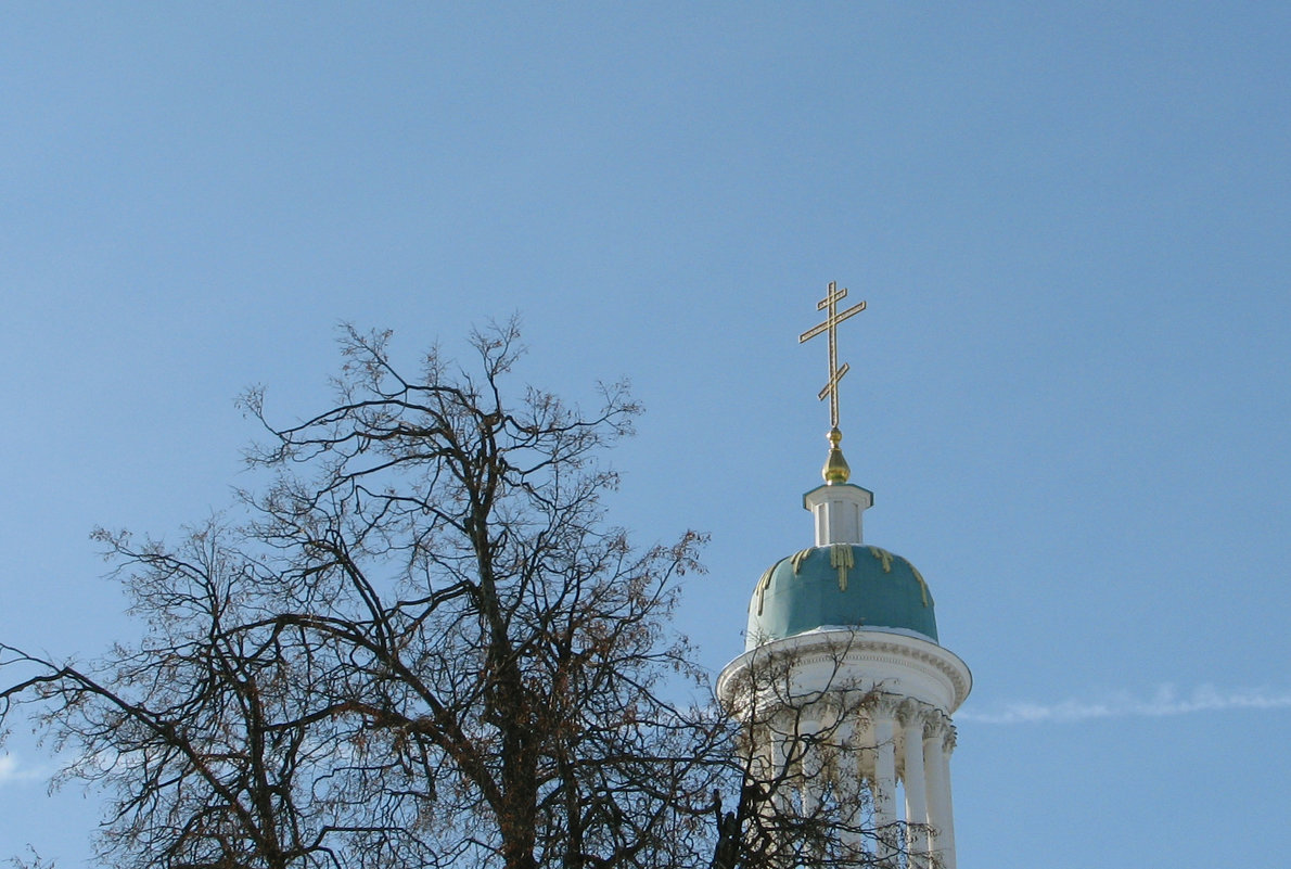 Прогулки по городу - Grey Bishop