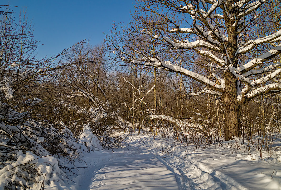 Последние денёчки этой зимы - Андрей Дворников