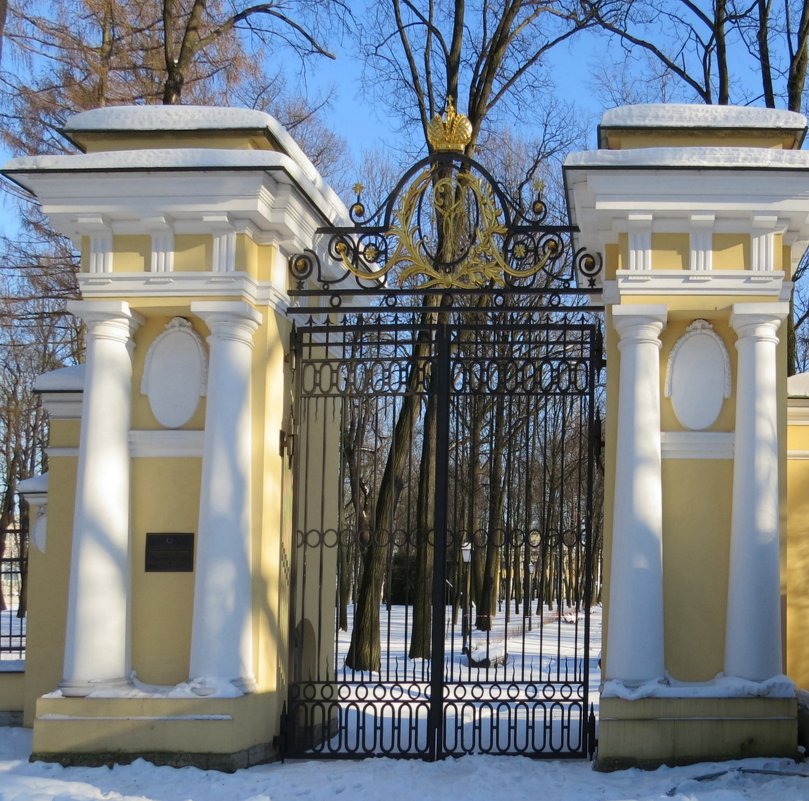 Ворота - Вера Щукина