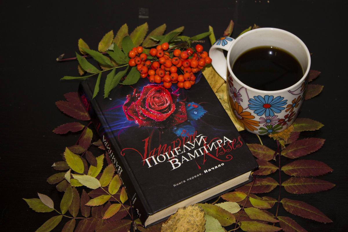 Книга, веточка рябины и чашка чая - Светлана Чеботарева