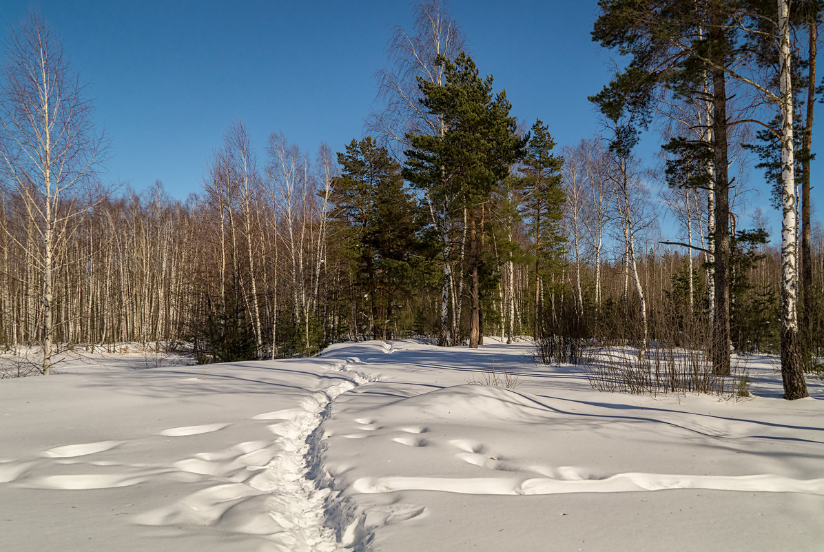Конец зимы - Андрей Дворников