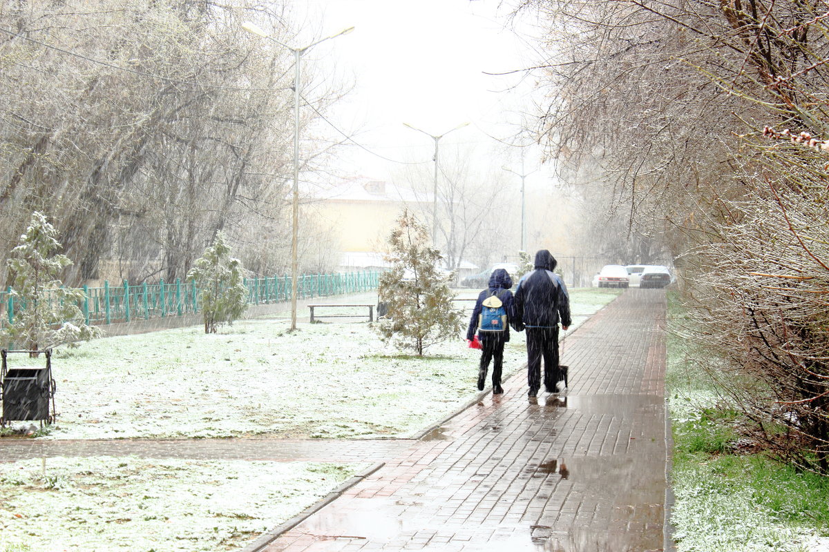 Снег в марте - Ольга Акимова