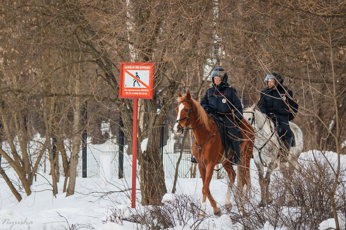 Выход запрещён, можно только верхом.... - Nyusha .