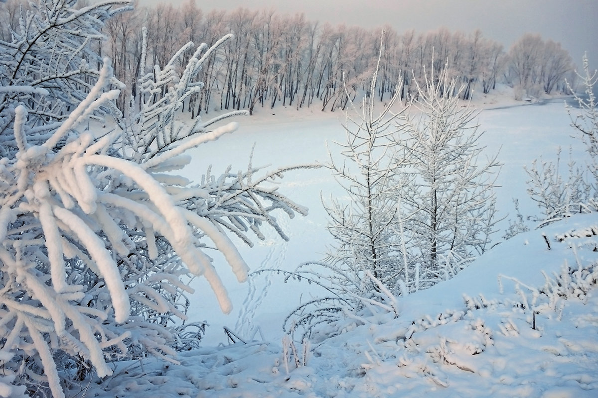 Холодный январь - Екатерина Торганская