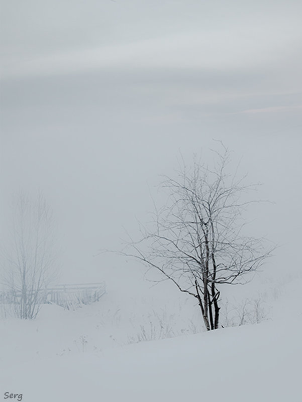 Зимний туман. - Сергей l