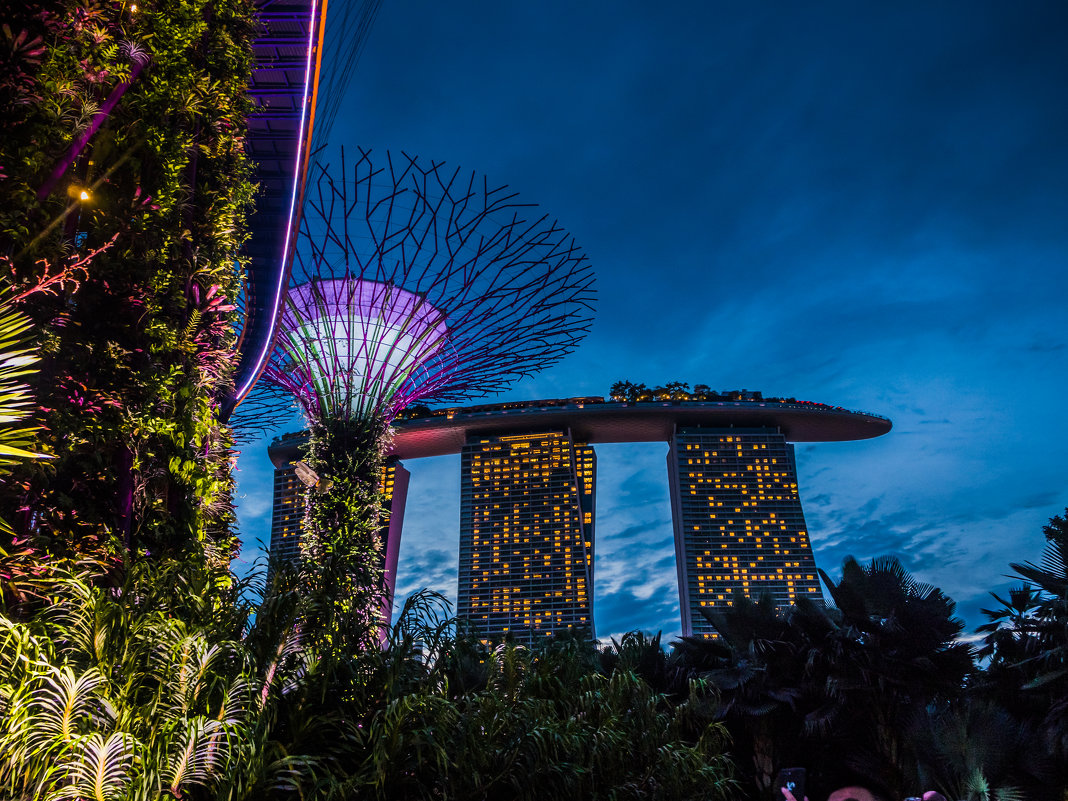 Gardens by the Bay, Singapore - Олеся Семенова