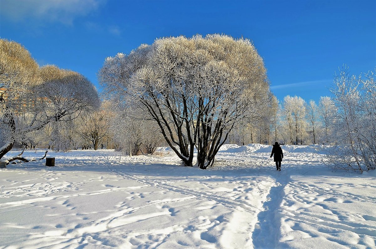 По снежной тропинке... - Sergey Gordoff