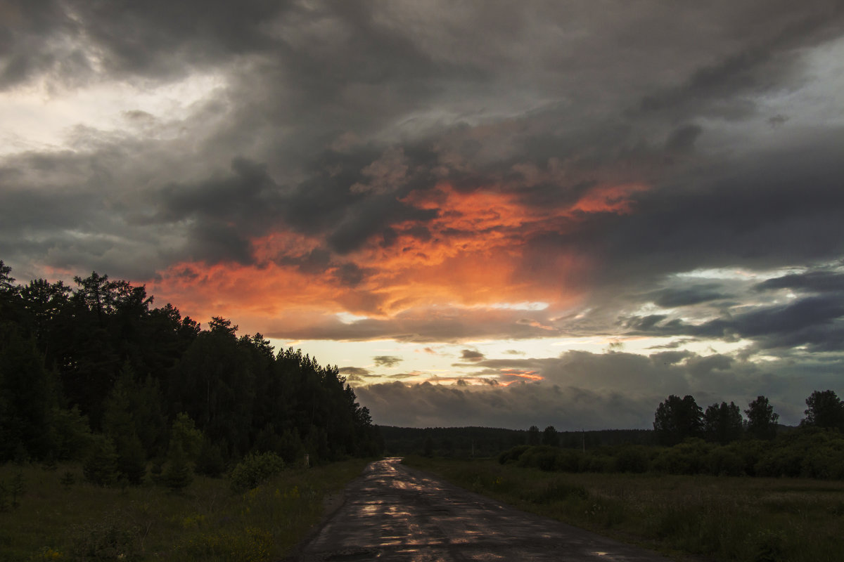 Дорога... - Леся Гуфраева