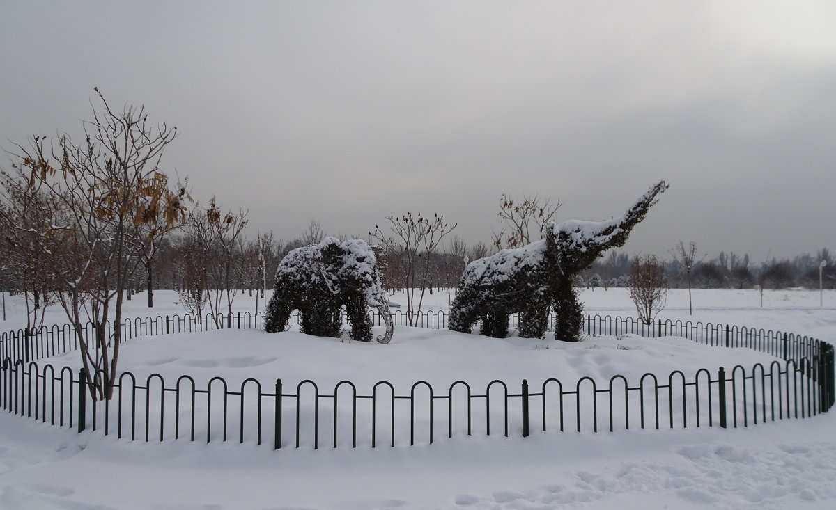 В зимнем парке... - LORRA ***