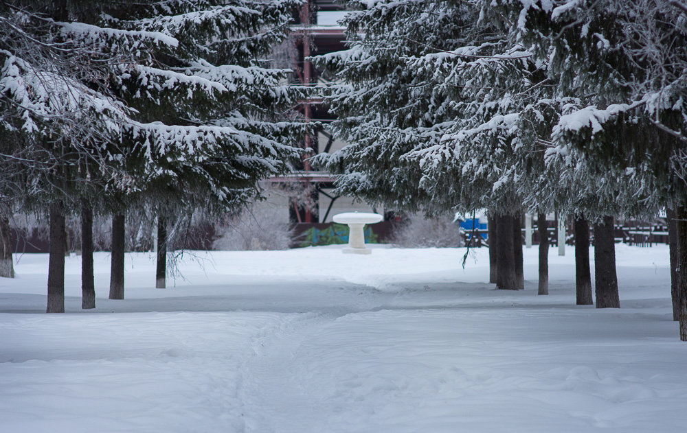 Зима в городе - Ника -