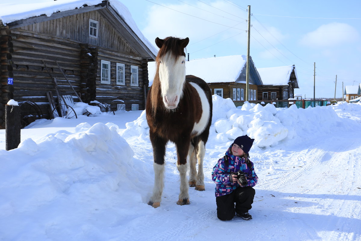 Лошади в деревне зимой