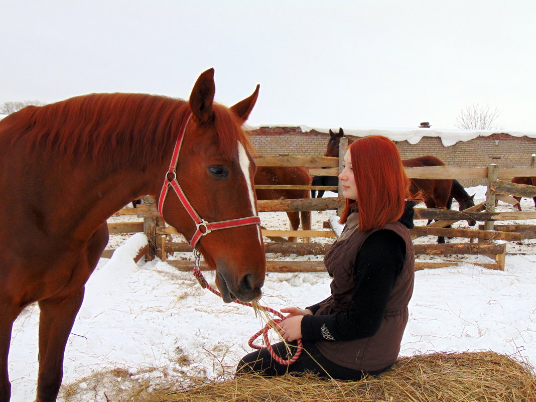 Разговор с лошадью - Юлия Ошуркова