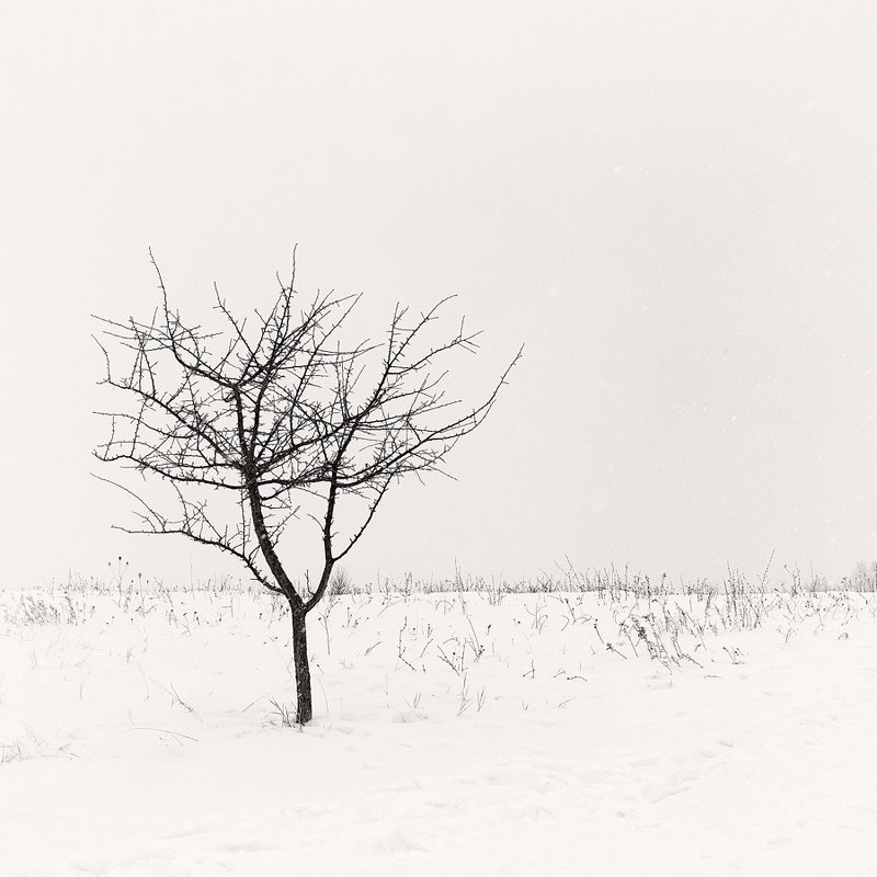 The winter one. - Андрий Майковский