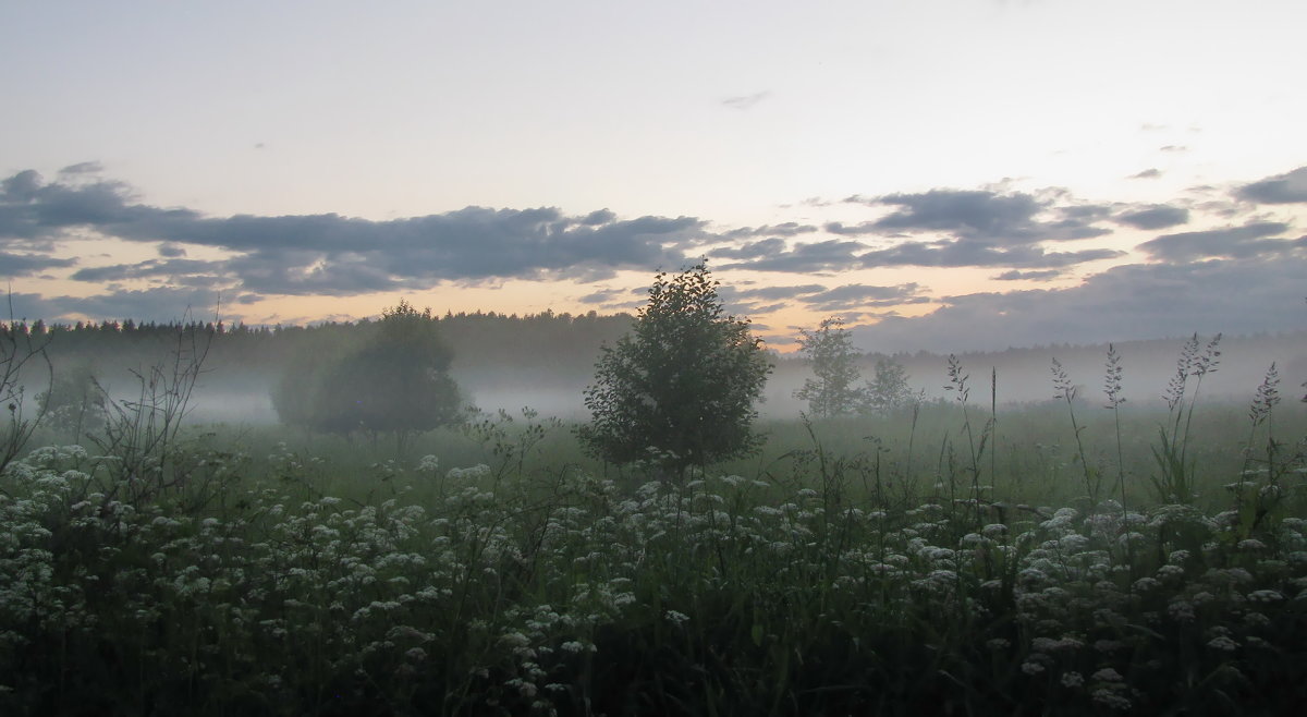 Туман над цветочными полями - Лара Симонова 