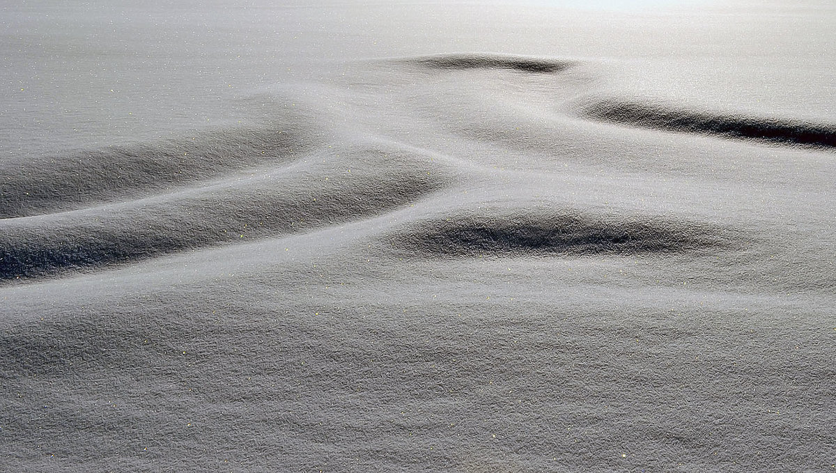 Тени на снегу - Alexander Andronik