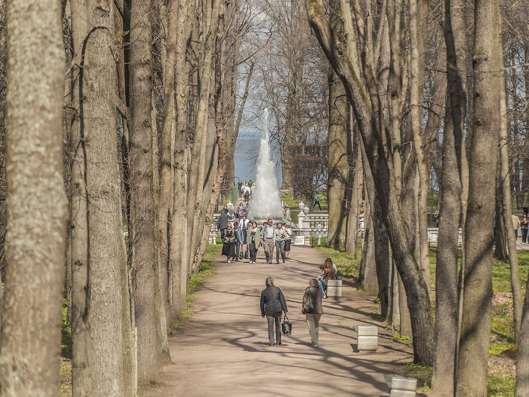 Весенняя прогулка в Петергофе - bajguz igor