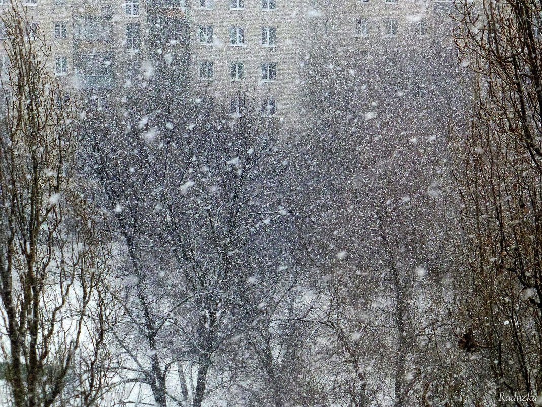 Снегопад, март - Raduzka (Надежда Веркина)
