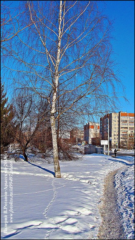 ВЛАДИМИР ПРОВИНЦИАЛЬНЫЙ - Валерий Викторович РОГАНОВ-АРЫССКИЙ