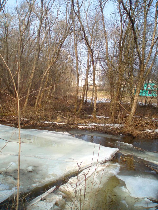 Spring in Lėvuo river - silvestras gaiziunas gaiziunas