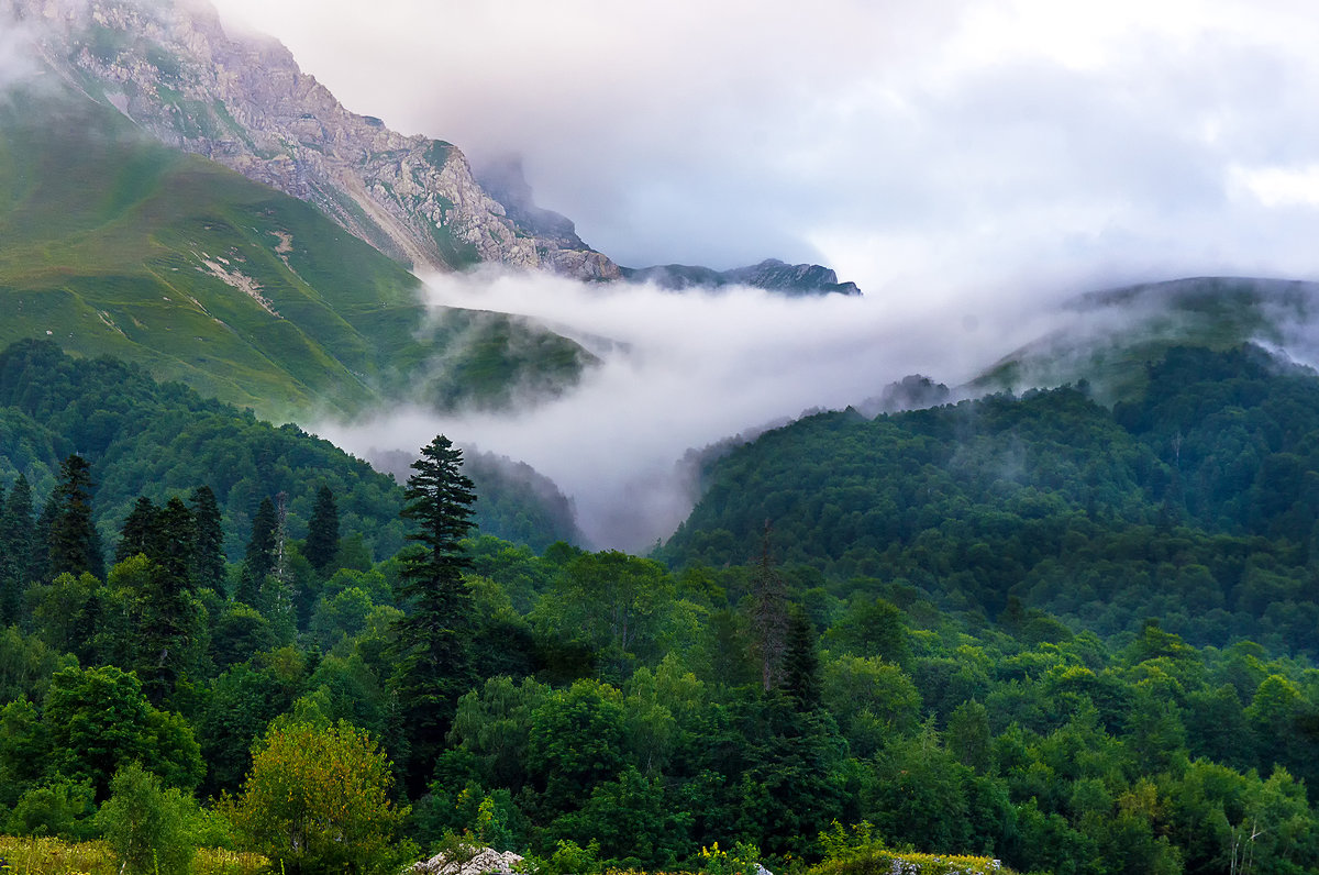 Туман на Армянском перевале - Роман Приходько