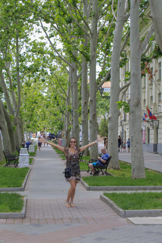 Севастополь Платан - дерево без коры на улицах города - Иван Логвинов