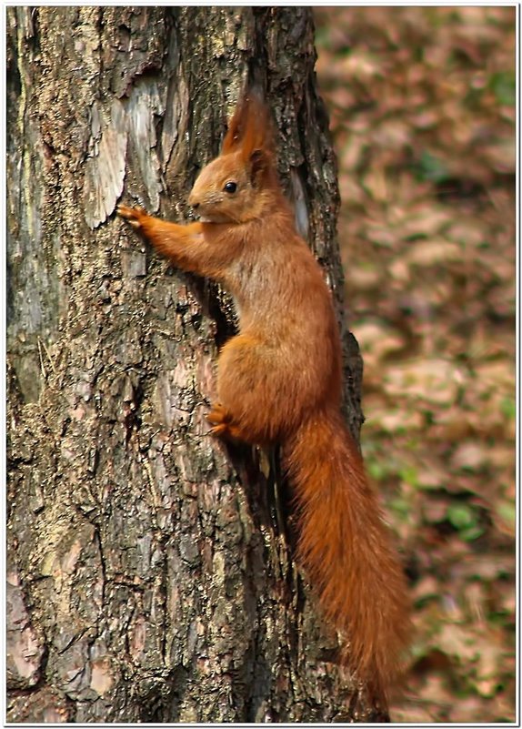 - - Евгений Кочуров