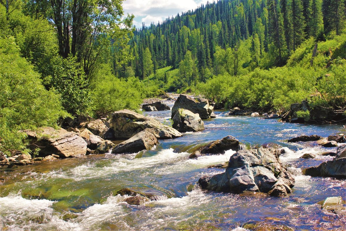 Горные реки Забайкалья фото