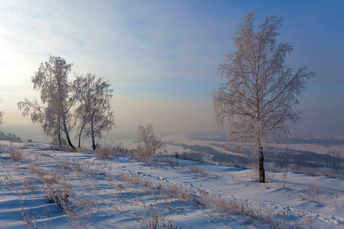 Зимний пейзаж - Анатолий Иргл
