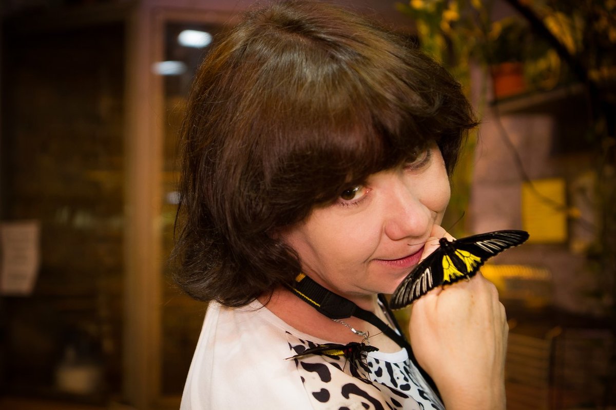Ручные бабочки - Ирина Смирнова