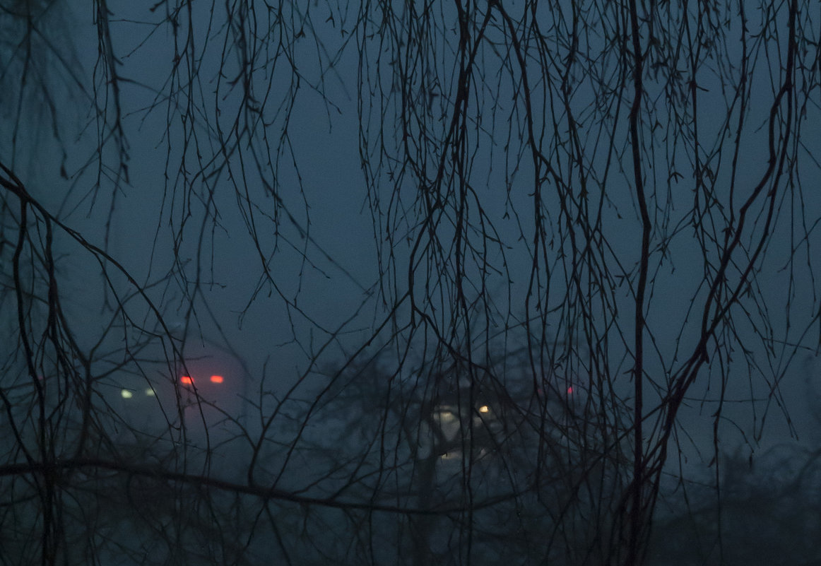 туман,вечер - Олег 