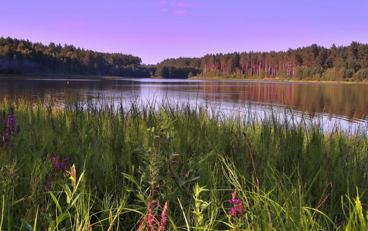 На озере в Полесье - Александр Бойченко