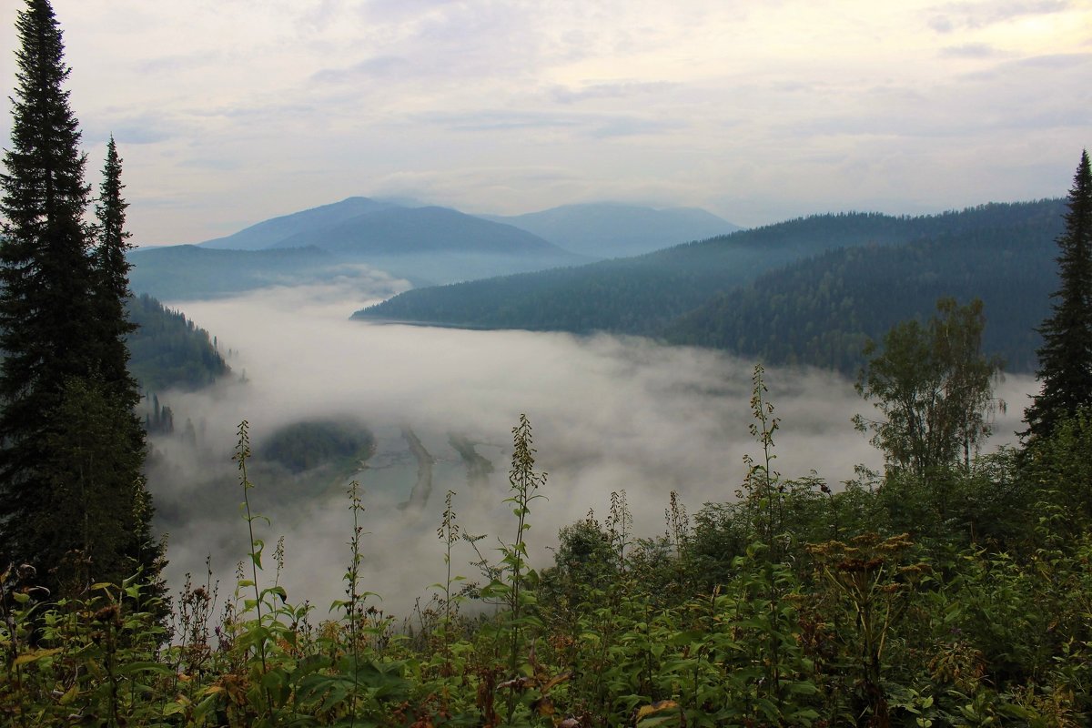 Утренний туман над долиной - Сергей Чиняев 
